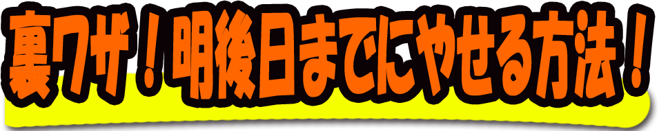 明後日までにやせる方法